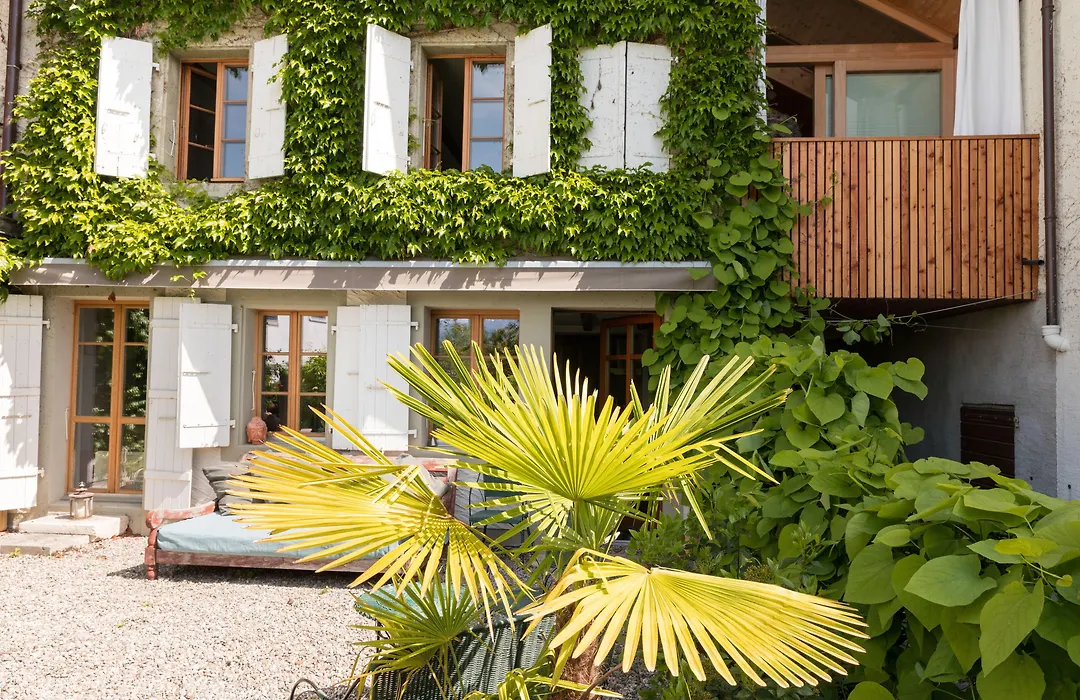 Wonderlandscape Guest House-1